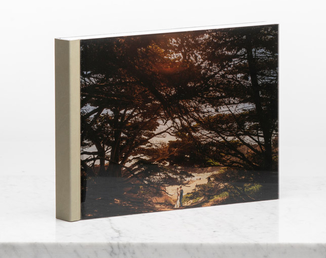 crystal-glance-dorso-quadro-1 Wedding Album